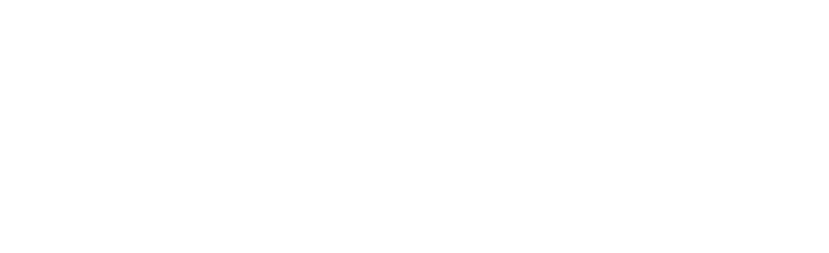Vectorize SRDVC Logo White_All white NOWORDS